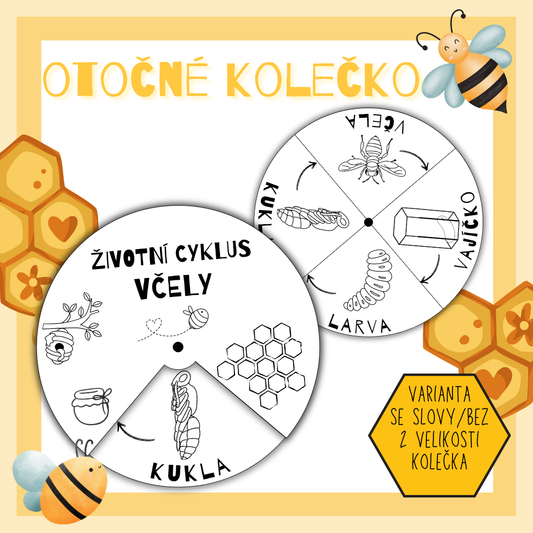 Životní cyklus včely