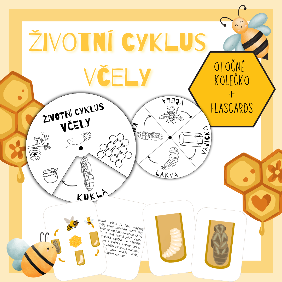 Životní cyklus včely