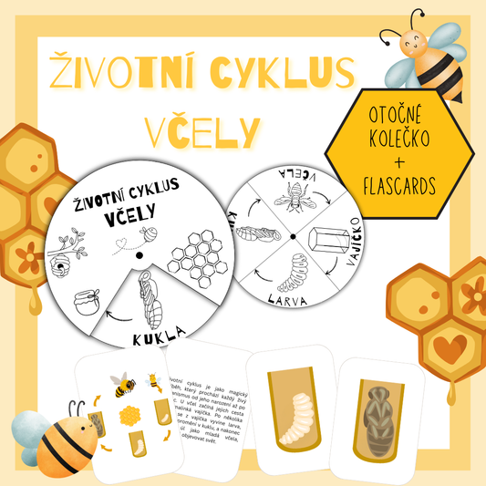 Životní cyklus včely